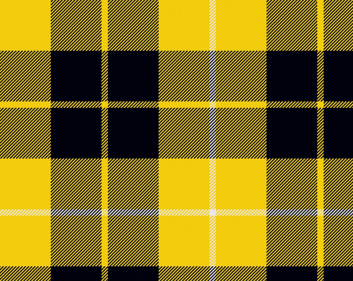 Barclay Dress Modern Tartan Scarf | Scottish Shop