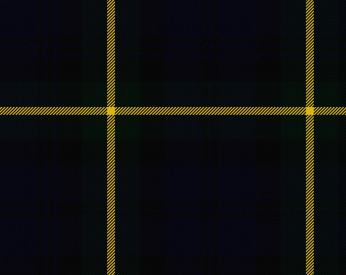 Gordon Modern Tartan Scarf | Scottish Shop