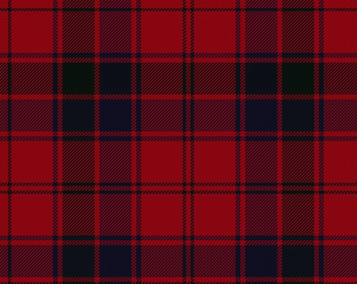 Robertson Modern Tartan Scarf | Scottish Shop