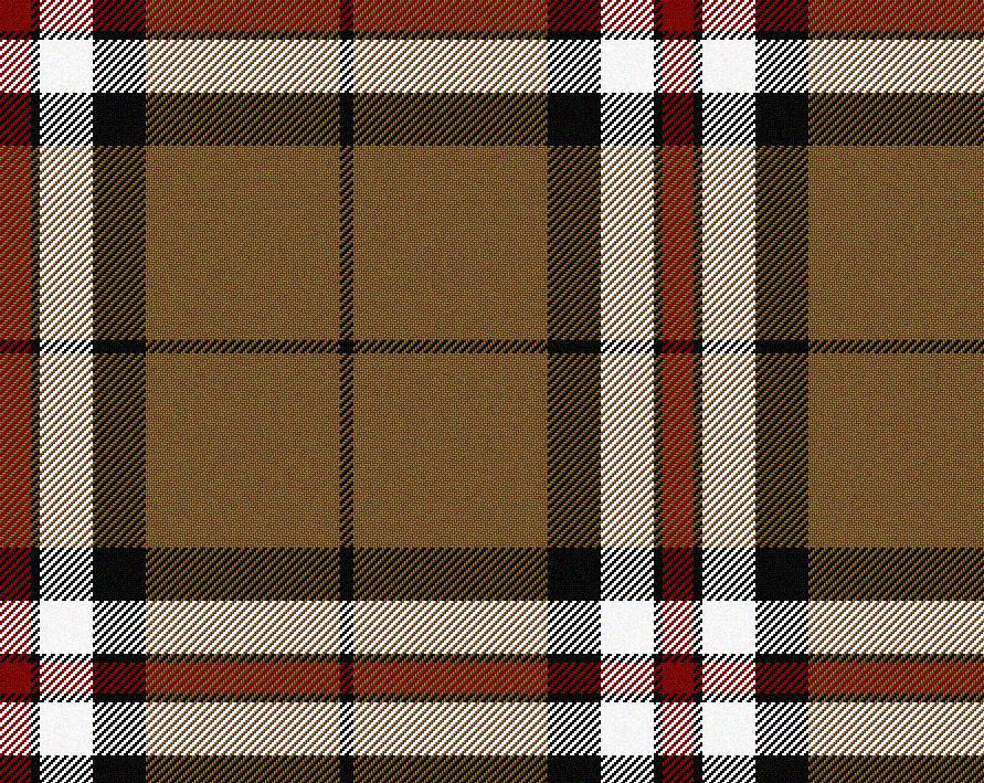 Thomson Camel Tartan Scarf | Scottish Shop