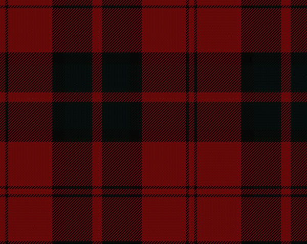 Dunbar Modern Ladies Tartan Sash | Scottish Shop