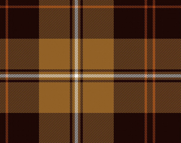 Elgin Modern Ladies Tartan Sash | Scottish Shop