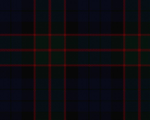 Fletcher Modern Ladies Tartan Sash | Scottish Shop