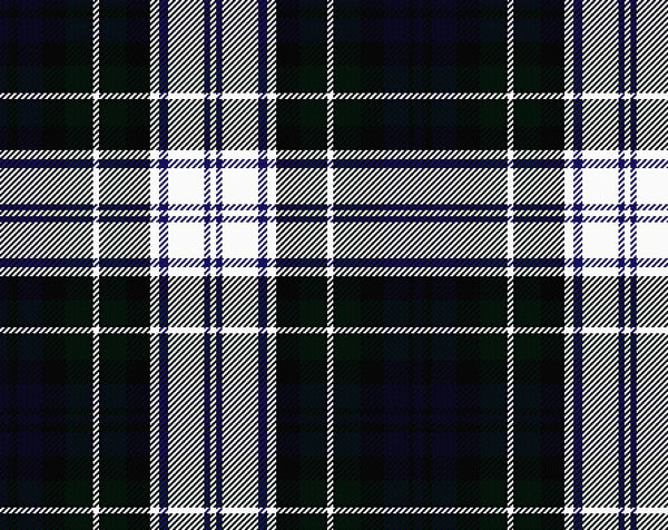 Forbes Dress Modern Ladies Tartan Sash | Scottish Shop