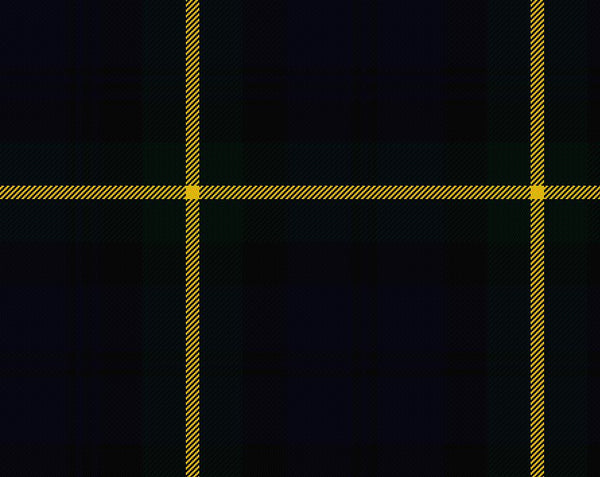 Gordon Modern Ladies Tartan Sash | Scottish Shop