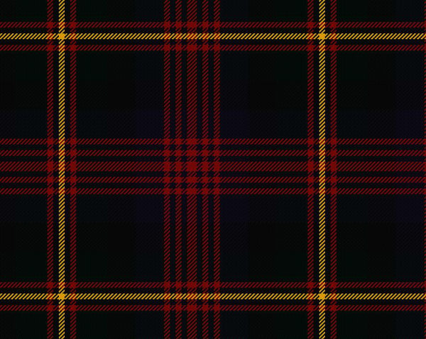 Logan Modern Ladies Tartan Sash | Scottish Shop