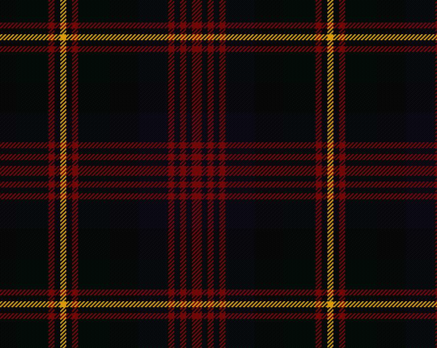 Logan Modern Ladies Tartan Sash | Scottish Shop