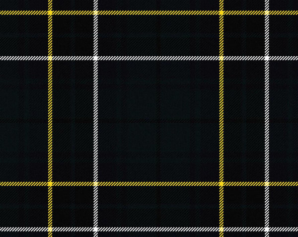 MacAlpine Modern Ladies Tartan Sash | Scottish Shop