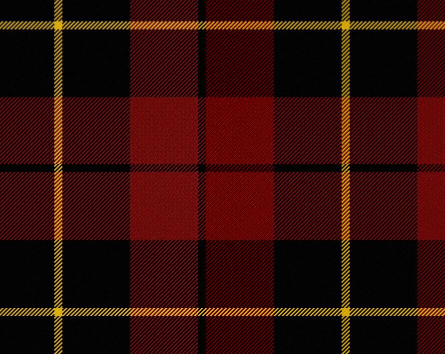 Wallace Modern Ladies Tartan Sash | Scottish Shop