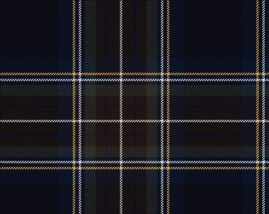 Modern sales tartan fabric