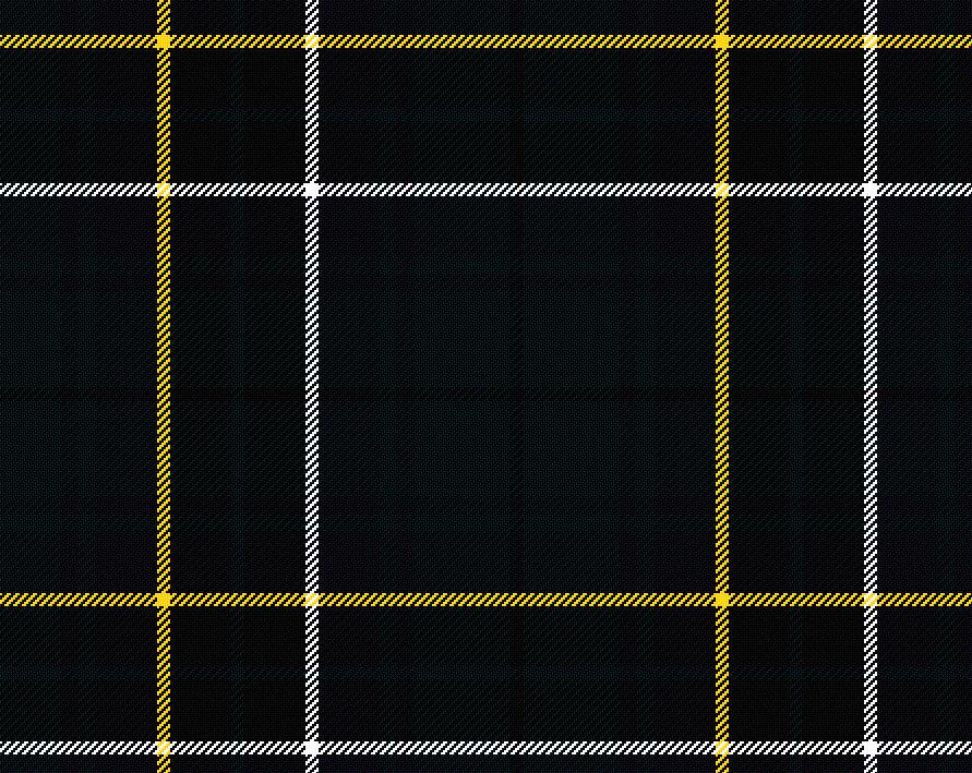 MacAlpine Modern Tartan 11oz Cloth | Scottish Shop