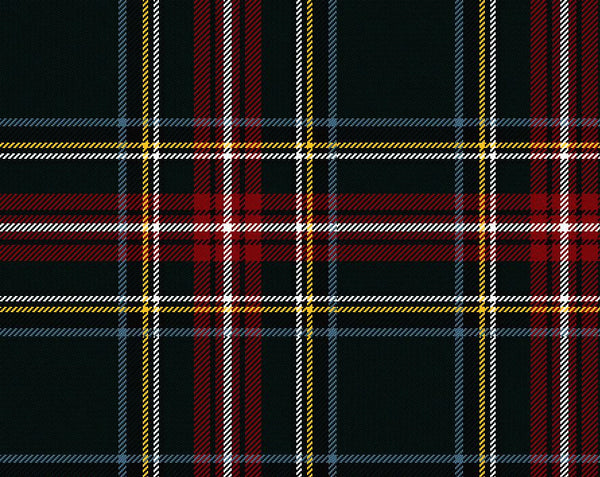 Princess Mary Modern Tartan 11oz Cloth | Scottish Shop