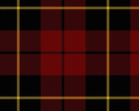 Wallace Modern Tartan 11oz Cloth | Scottish Shop