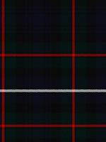 Robertson Tartan Wool Neck Tie | Scottish Shop